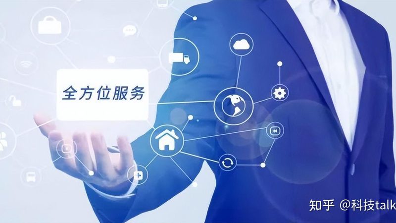 信息技术服务项目招标的优与思