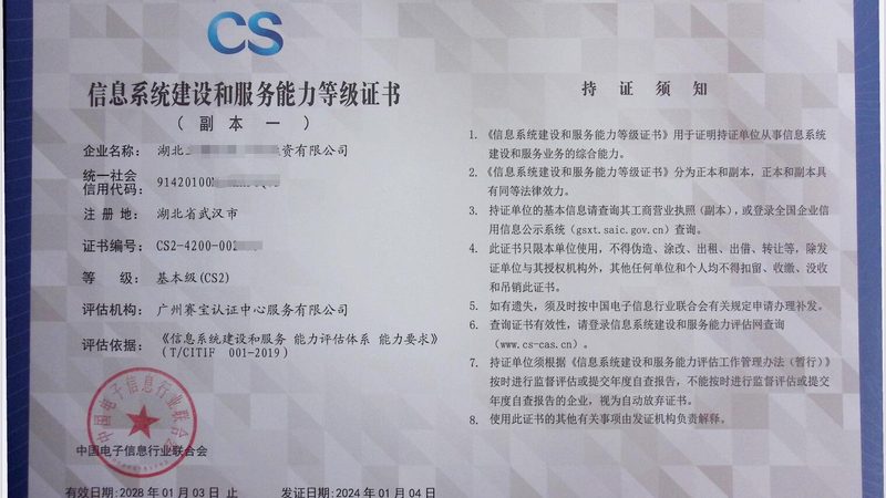 信息系统集成：深入解析其优缺点