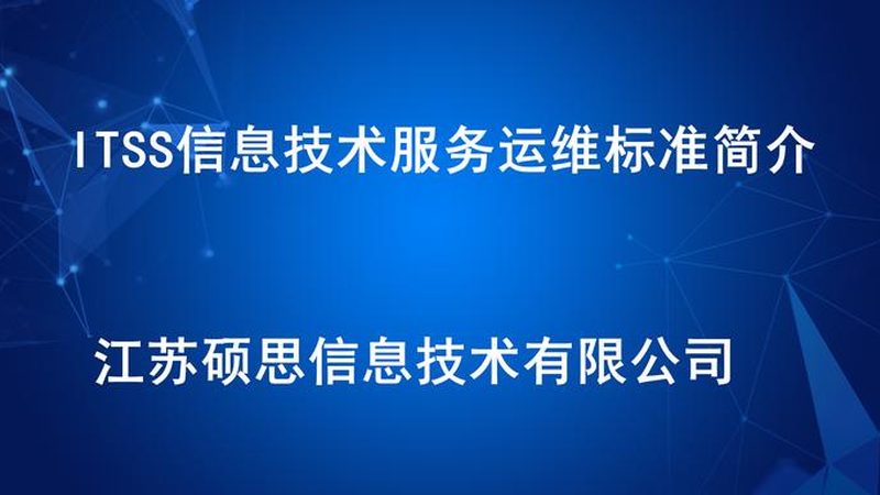 IT外包定制化解决方案：企业数字化转型的关键伙伴