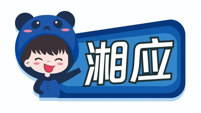 网络设备维保服务合同流程解析：关键环节与注意事项